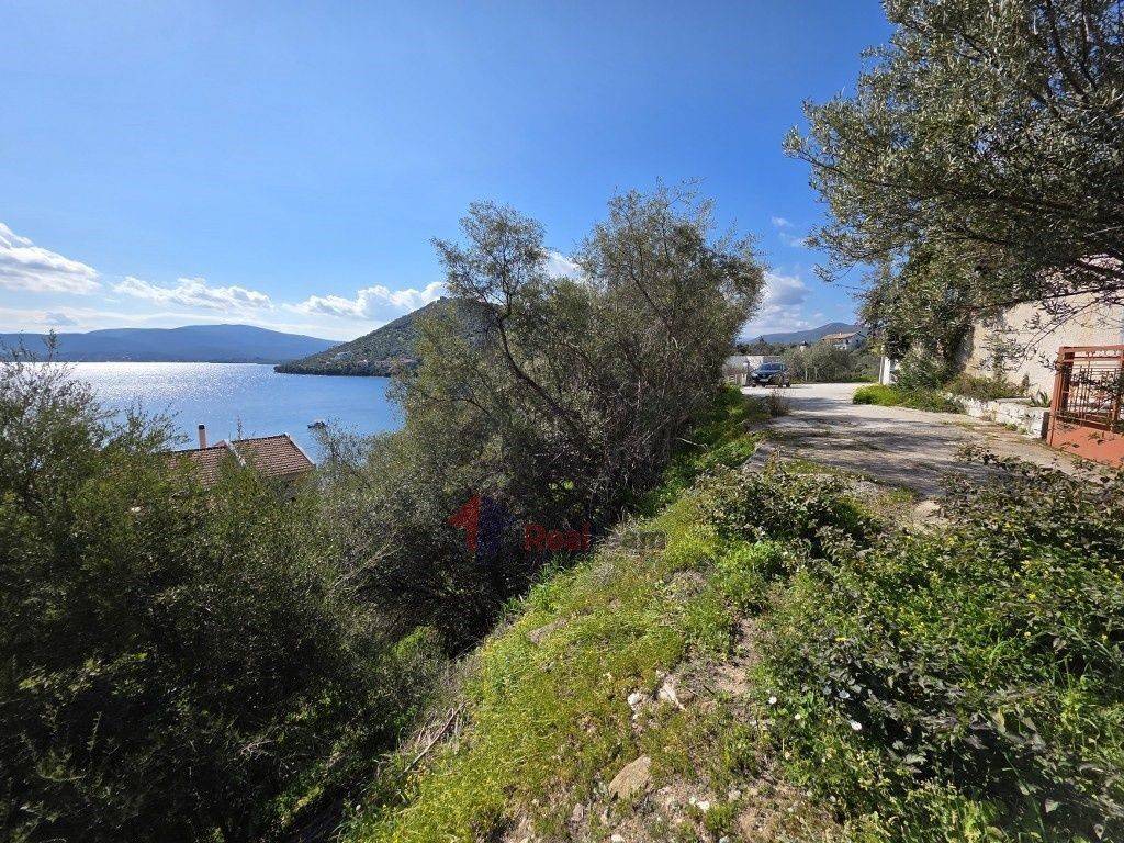 Εξωτερικοι χώροι