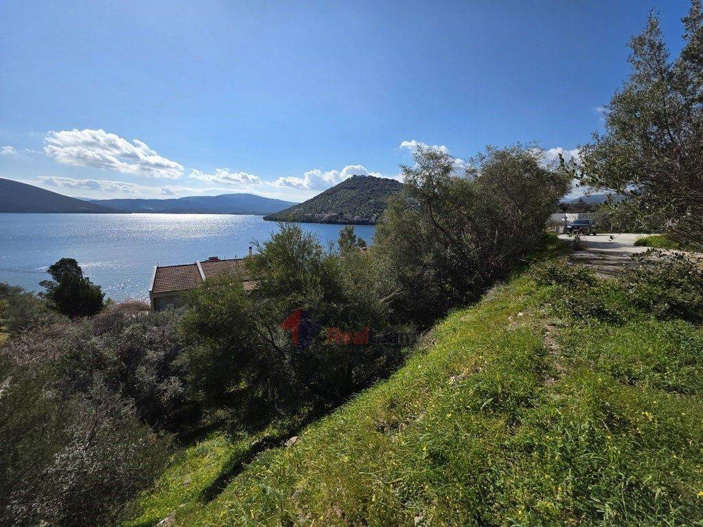 Εξωτερικοι χώροι