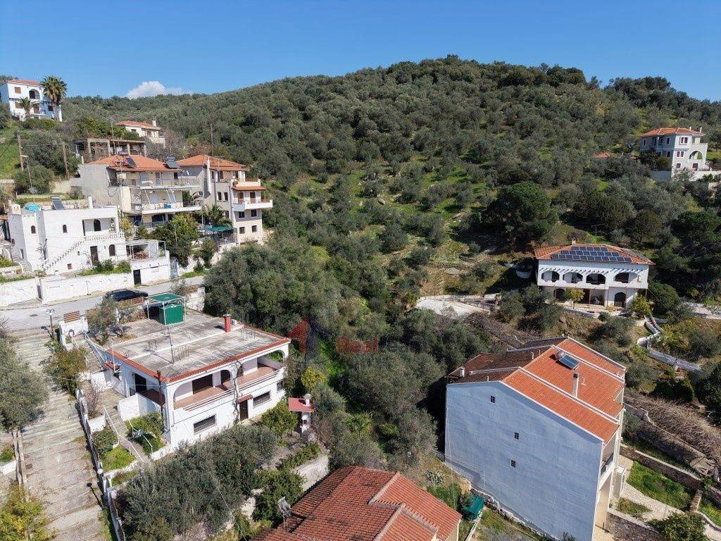 Εξωτερικοι χώροι