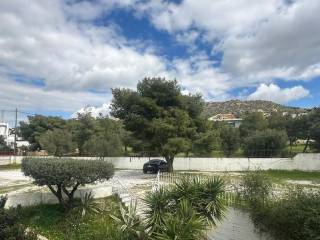 Apartment - Grekodom 65332|1052373