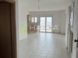 Σαλοκουζίνα