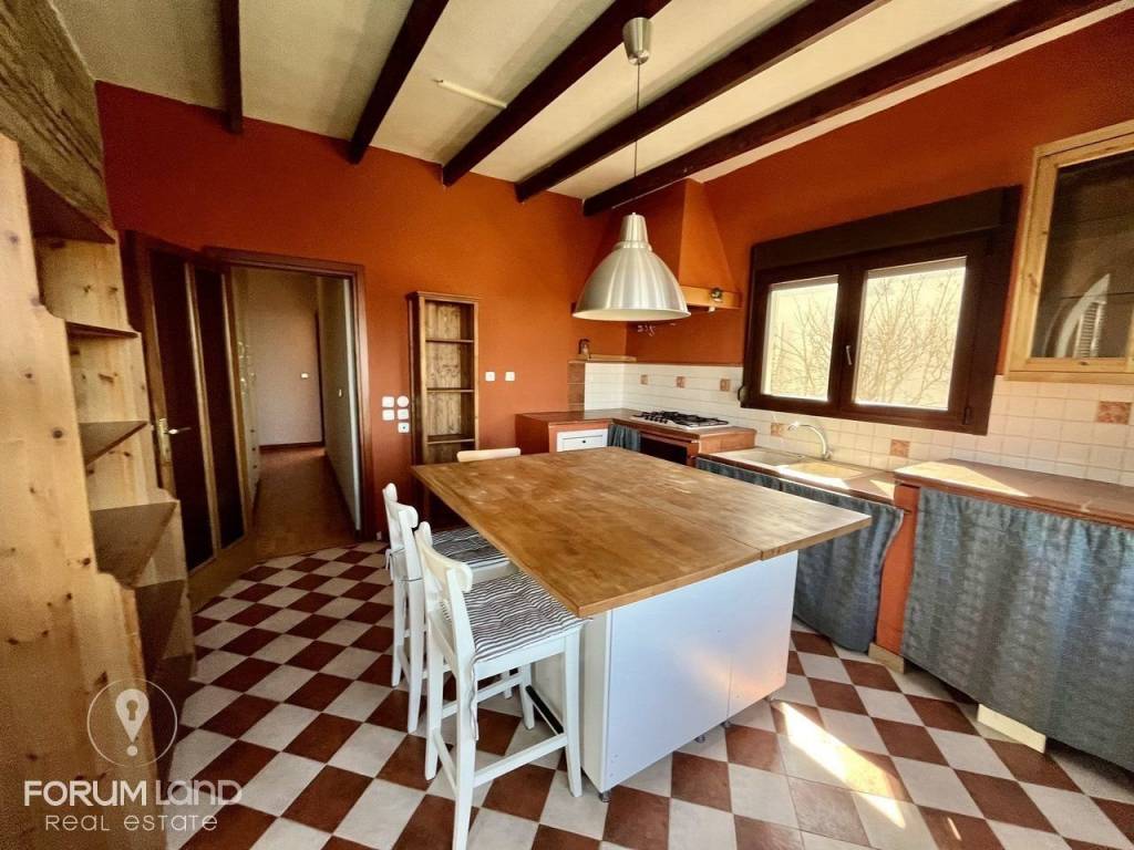 Forumland Real Estate, Koyzina