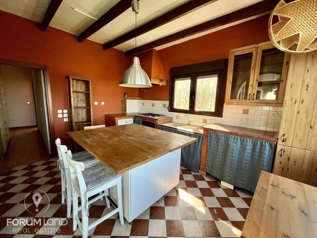 Forumland Real Estate, Koyzina