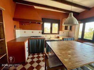 Forumland Real Estate, Koyzina