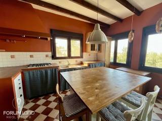 Forumland Real Estate, Koyzina