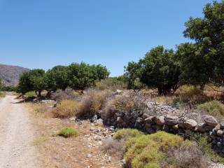 Plot - Grekodom 38534|575149