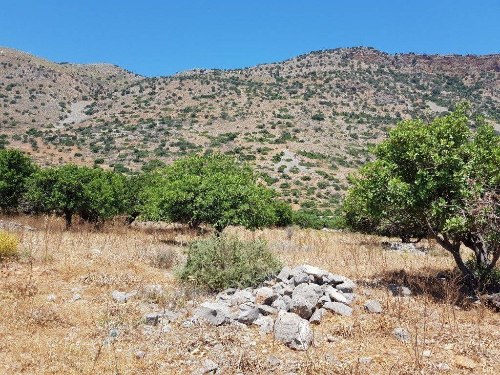 Plot - Grekodom 38534|575155