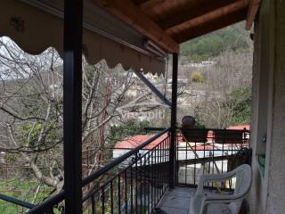 ΑΠΟΨΗ ΜΟΝΟΚΑΤΟΙΚΙΑΣ