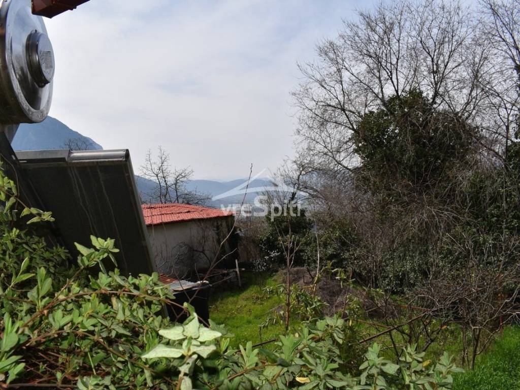 ΑΠΟΨΗ ΜΟΝΟΚΑΤΟΙΚΙΑΣ