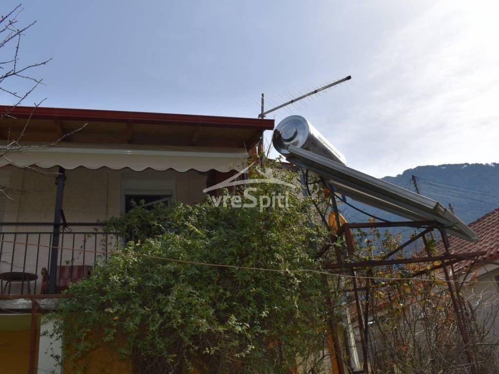 ΑΠΟΨΗ ΜΟΝΟΚΑΤΟΙΚΙΑΣ