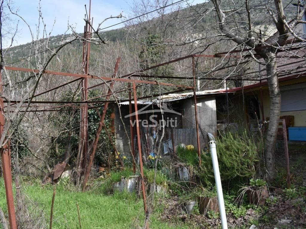 ΑΠΟΨΗ ΜΟΝΟΚΑΤΟΙΚΙΑΣ