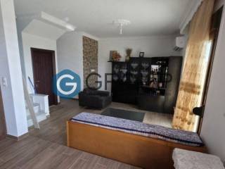 Σαλοκουζίνα