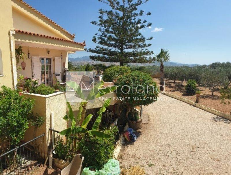 Εξωτερικός χώρος