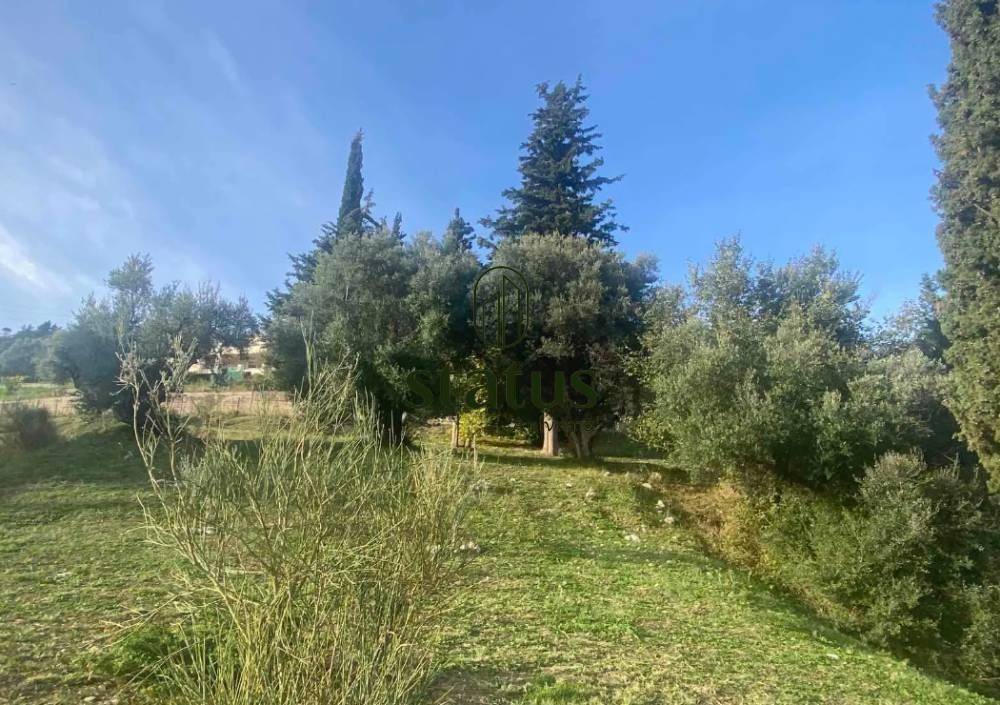 Θέα απο μπαλκόνι