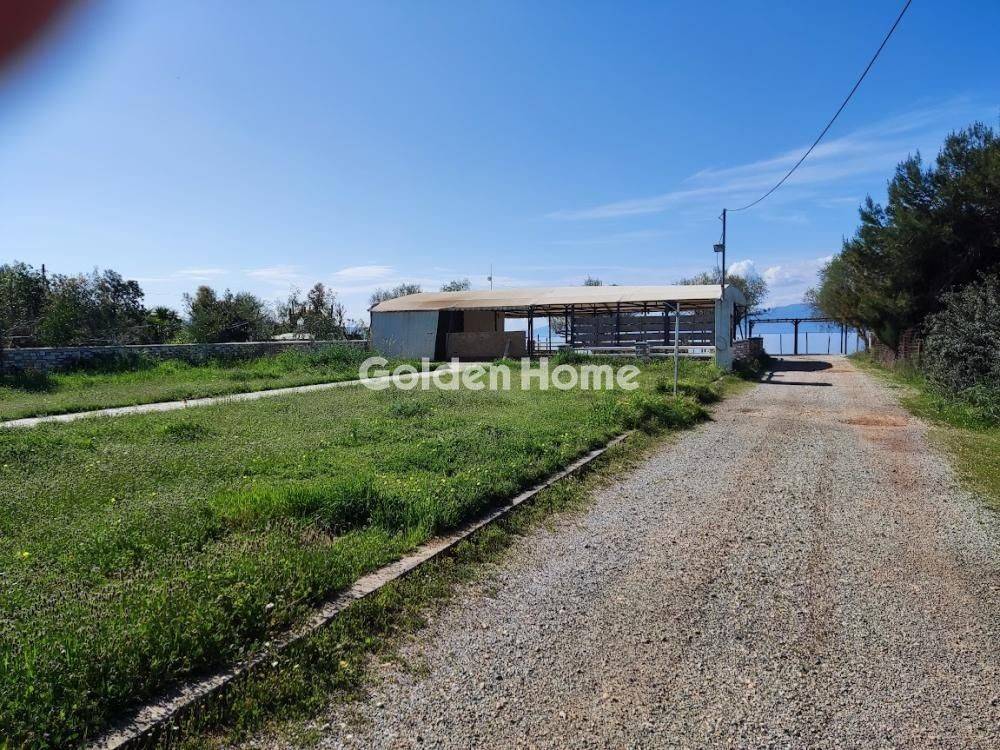 Εξωτερικός Χώρος