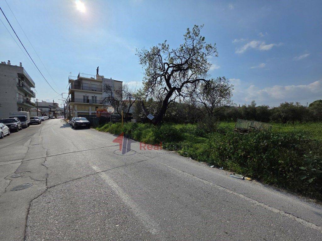 Εξωτερικοι χώροι