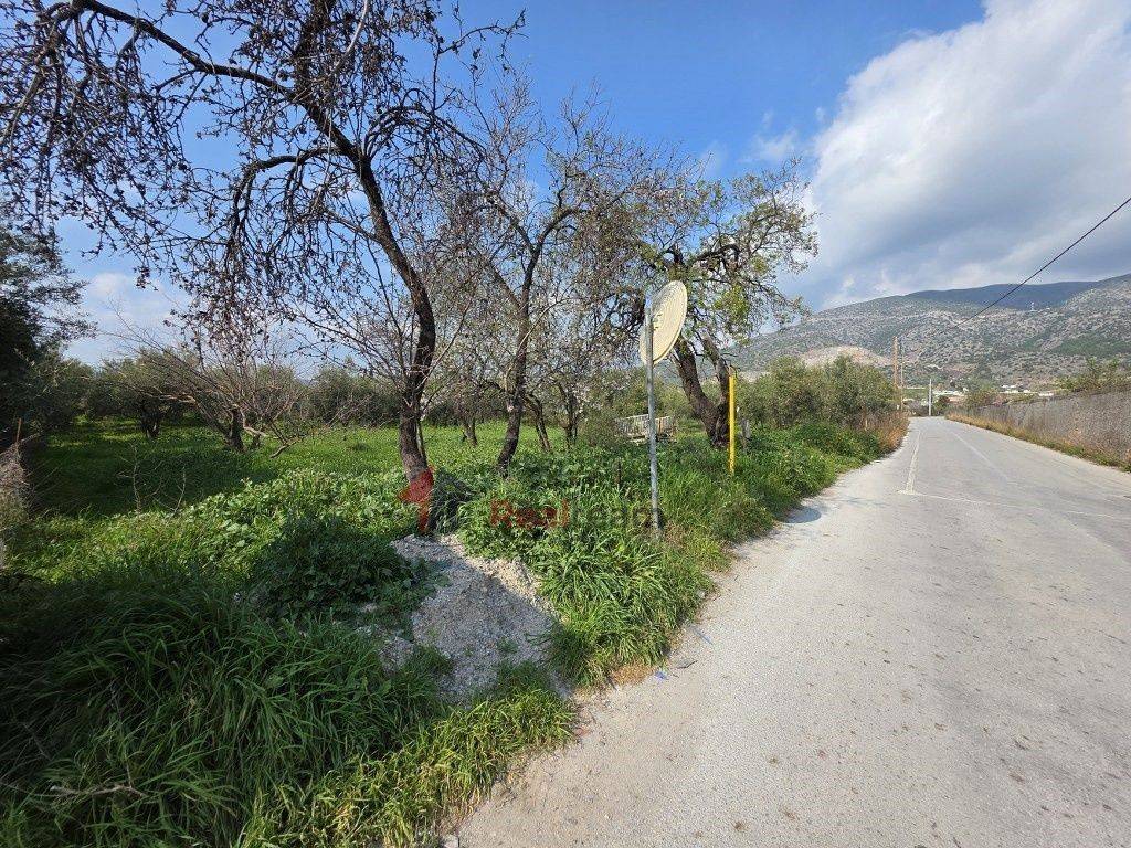 Εξωτερικοι χώροι