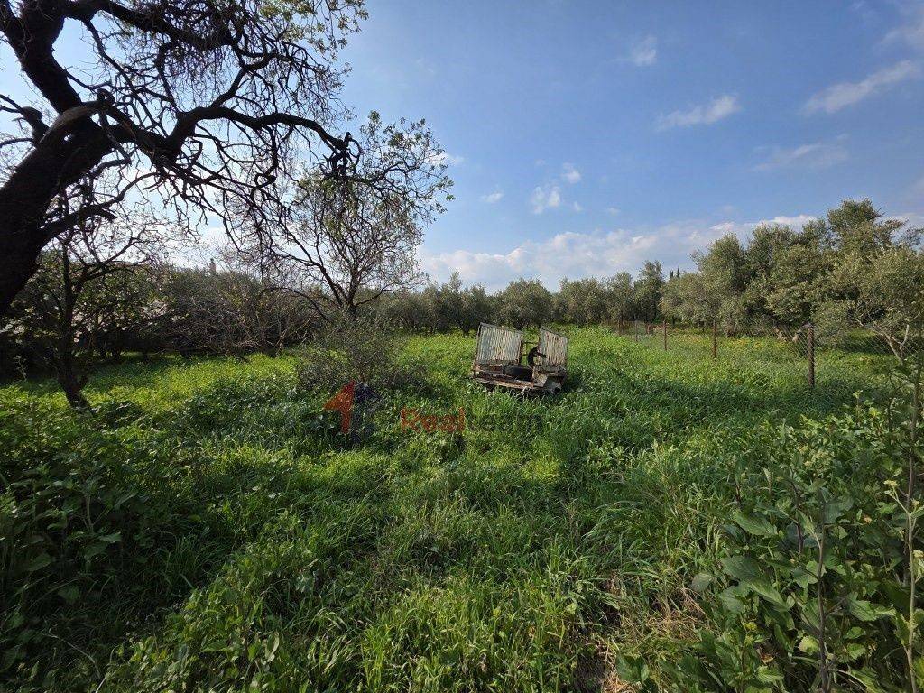 Εξωτερικοι χώροι