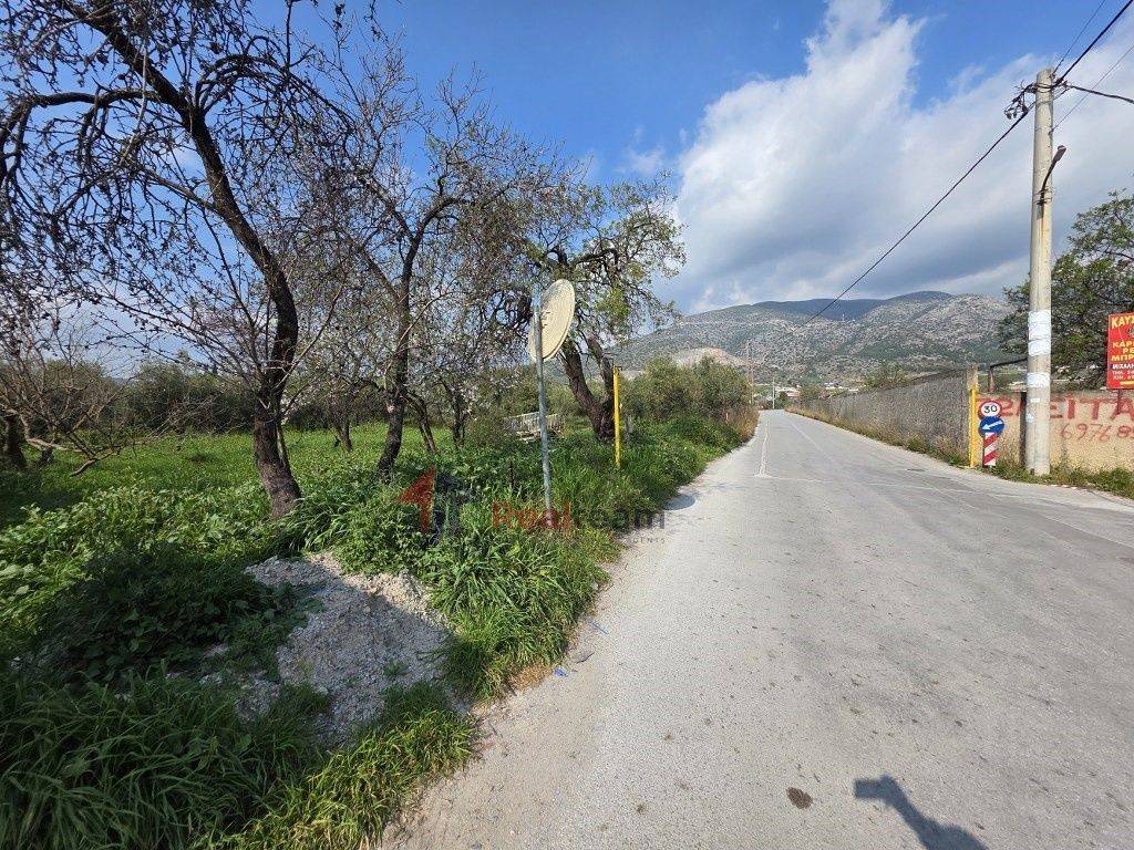 Εξωτερικοι χώροι