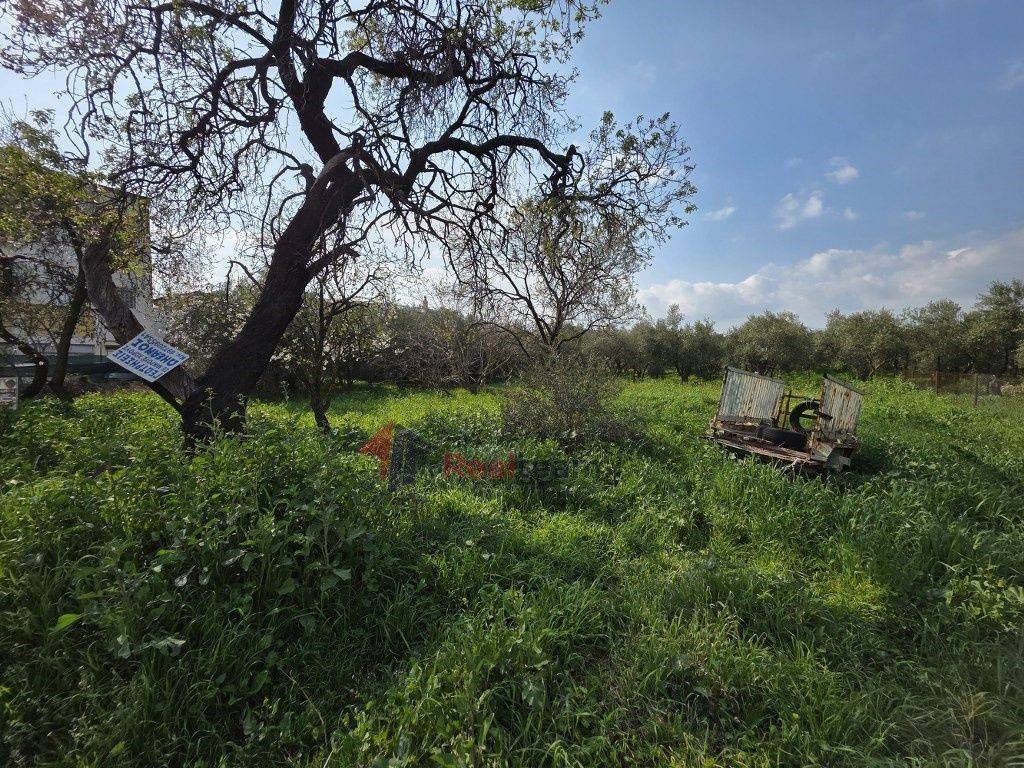 Εξωτερικοι χώροι