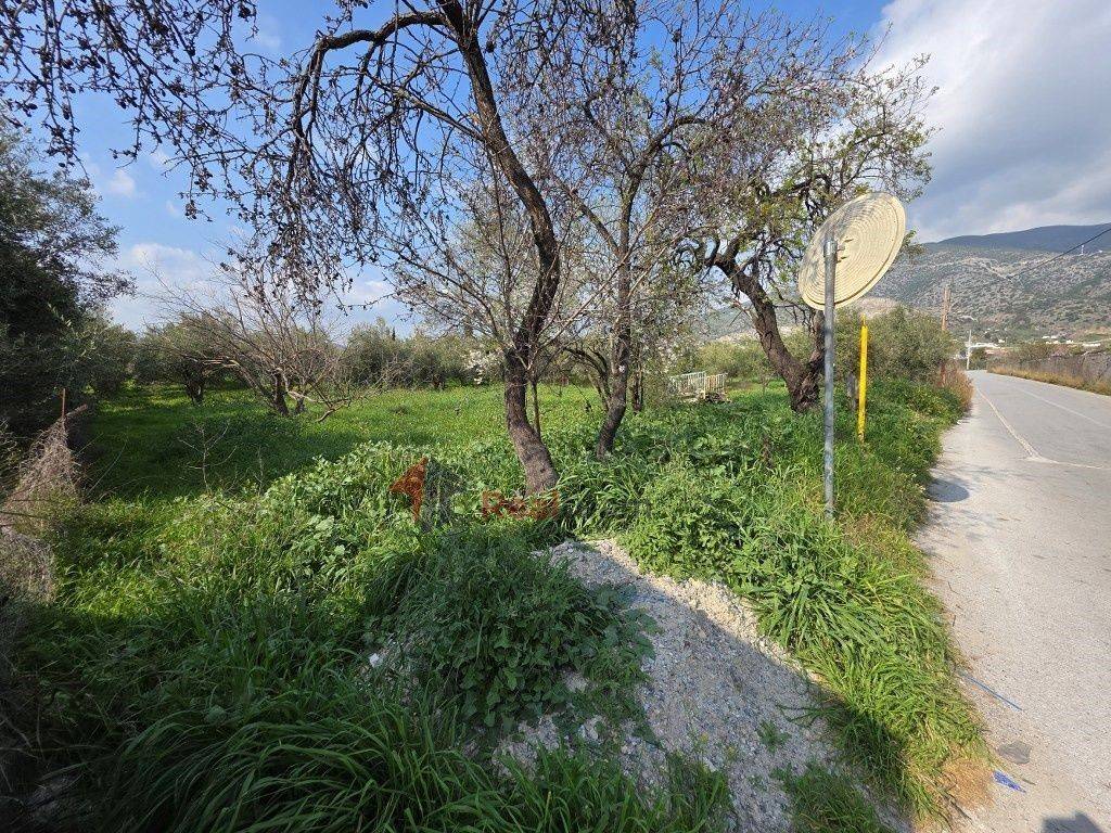 Εξωτερικοι χώροι