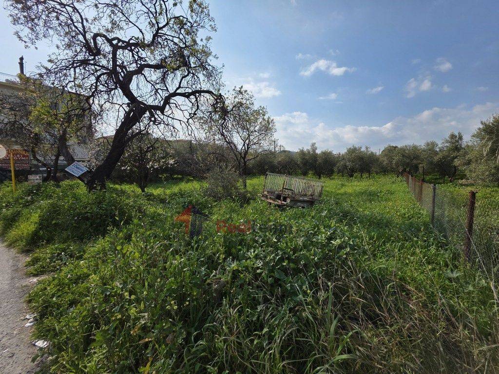 Εξωτερικοι χώροι