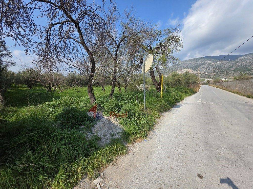 Εξωτερικοι χώροι