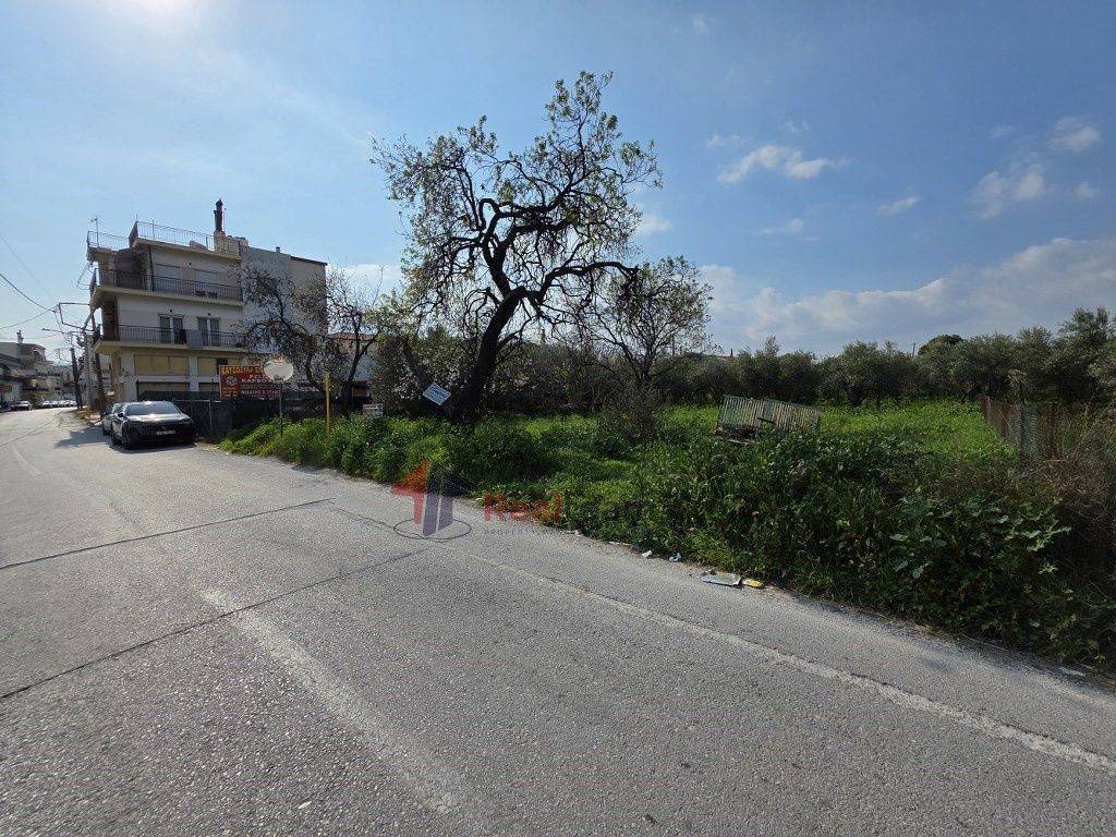 Εξωτερικοι χώροι