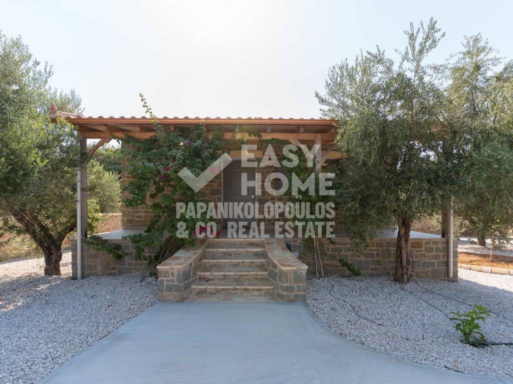 Εξωτερικοι χώροι