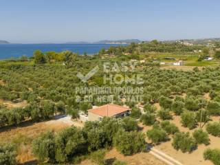 Εξωτερικοι χώροι