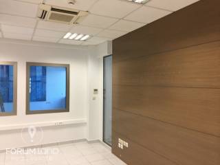 Forumland Real Estate, επαγγελματικός χώρος