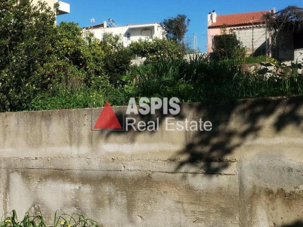 Εξωτερικοι χώροι