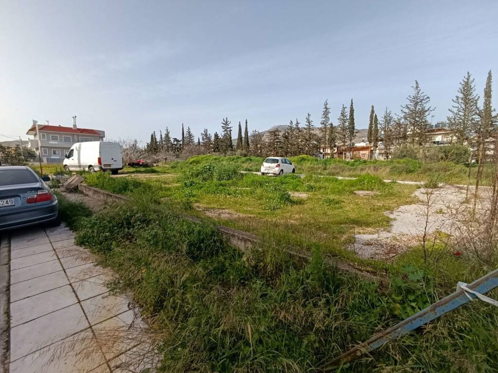 Εξωτερικοι χώροι