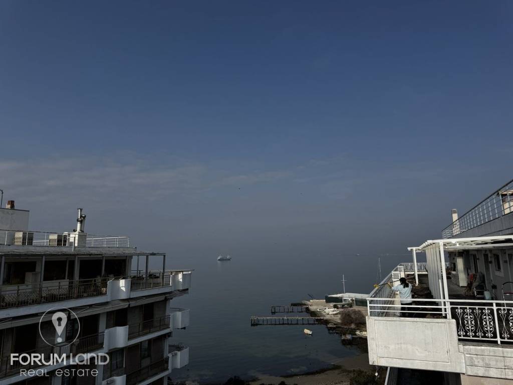 Forumland Real Estate, THea anoichtosia