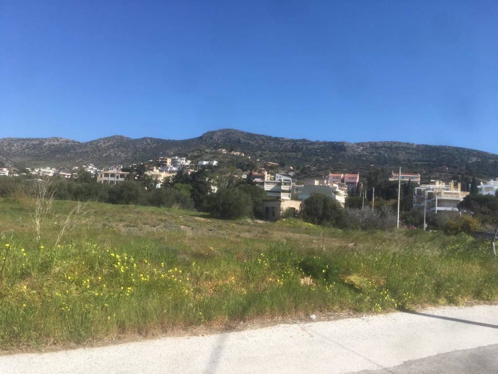 Εξωτερικοι χώροι