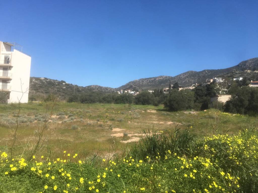 Εξωτερικοι χώροι