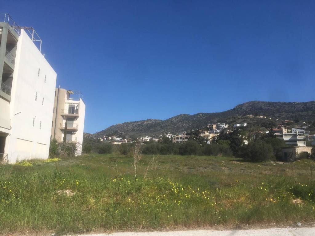 Εξωτερικοι χώροι