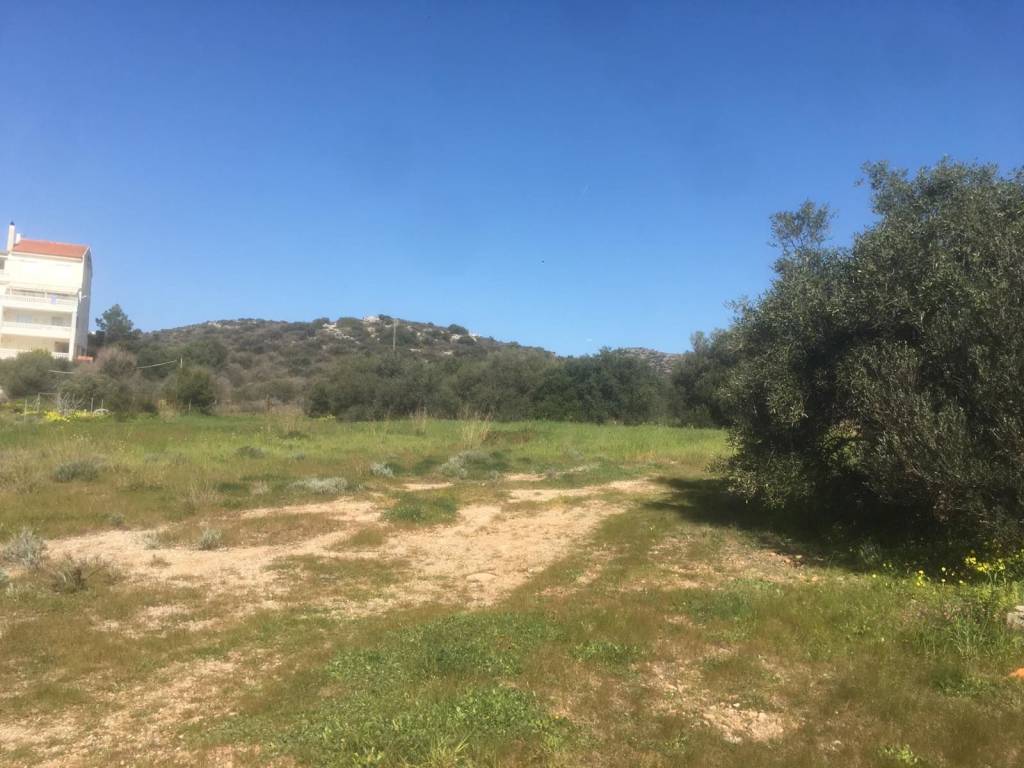 Εξωτερικοι χώροι