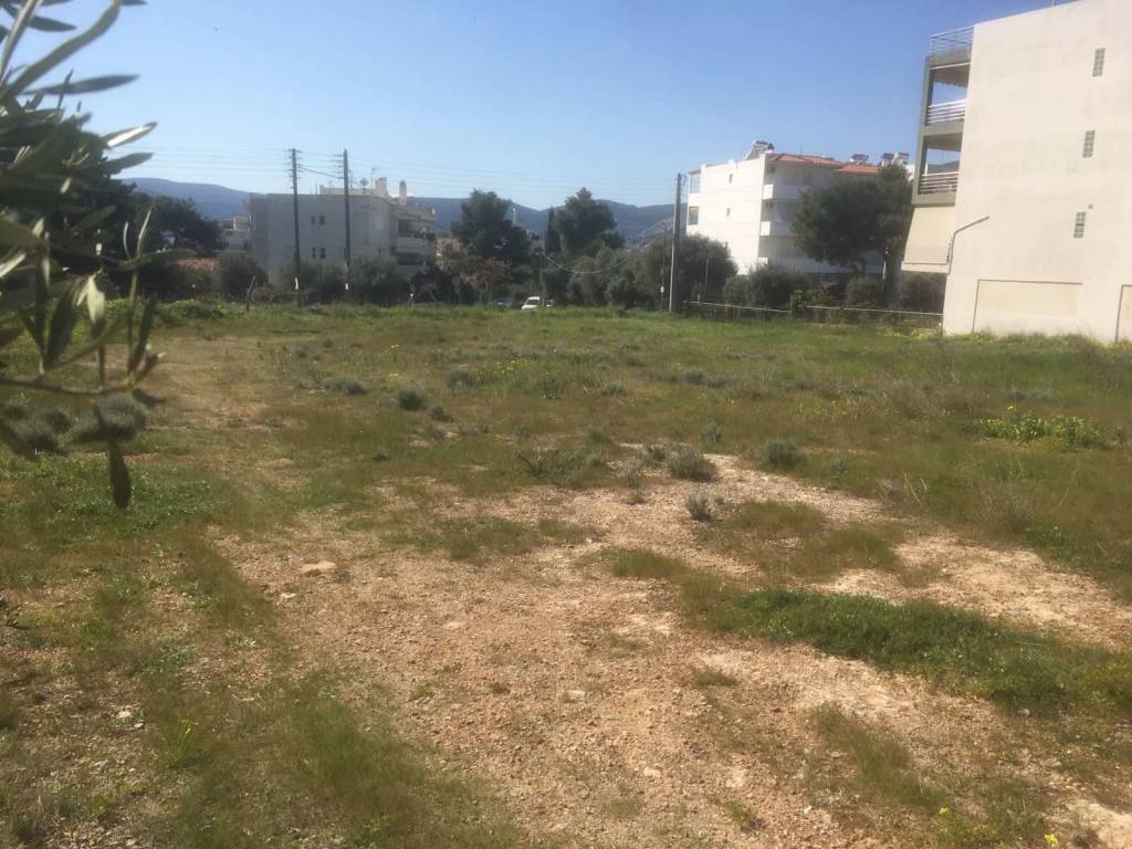 Εξωτερικοι χώροι