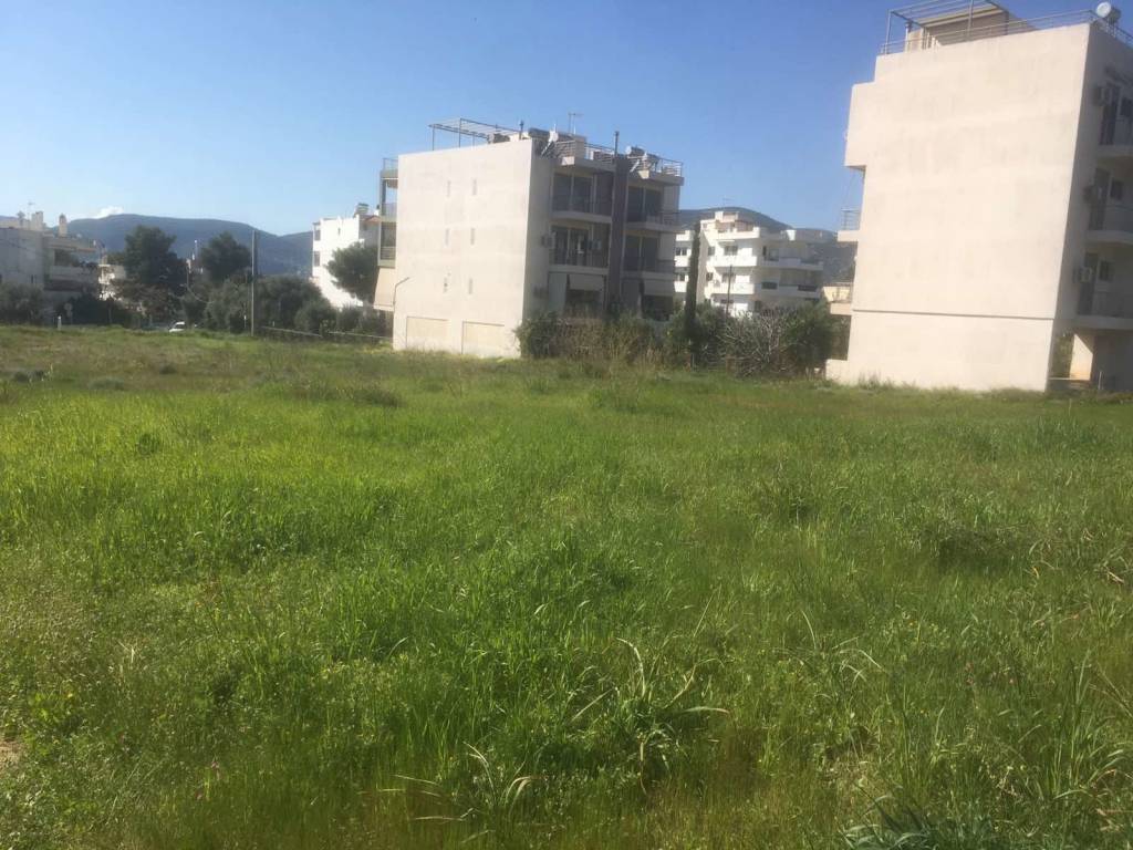 Εξωτερικοι χώροι