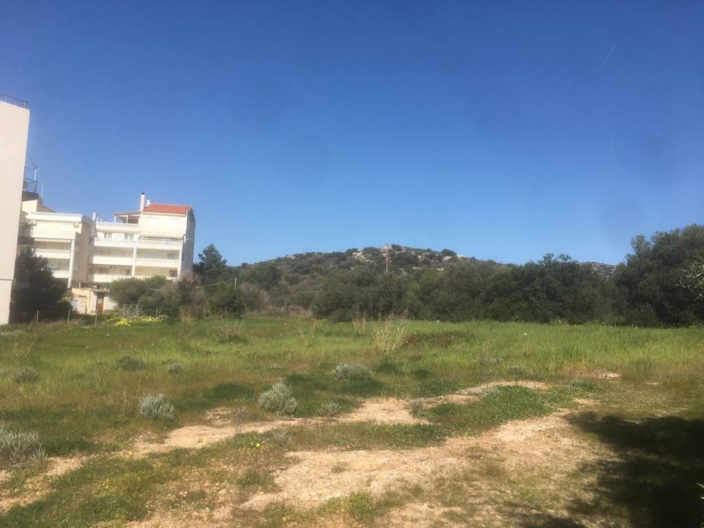 Εξωτερικοι χώροι