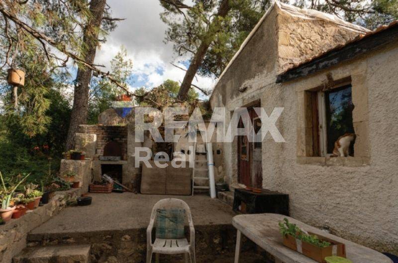 Ύπαρξη ανθρώπου