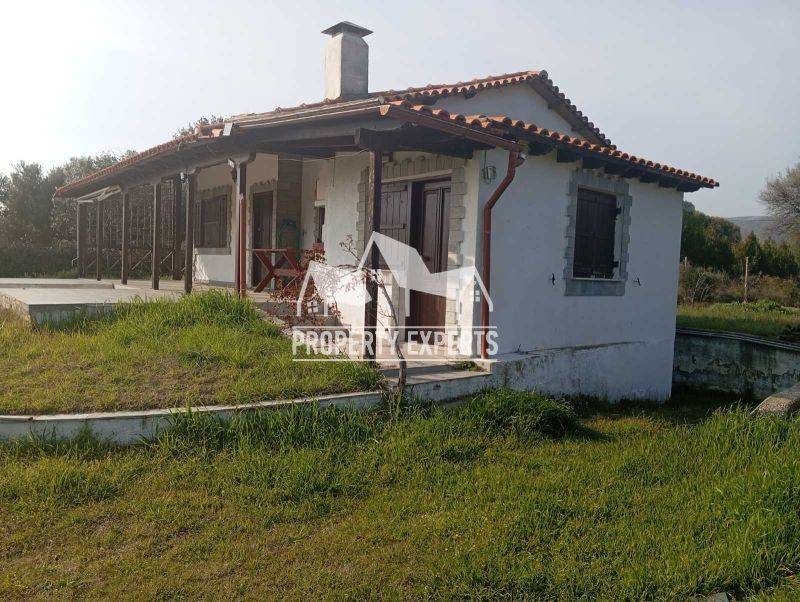 Εξωτερικός χώρος