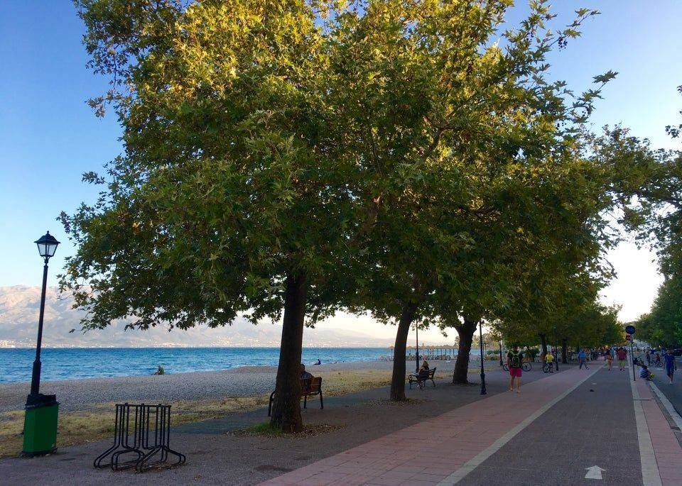 Η ΨΑΝΗ ΕΙΝΑΙ ΣΥΝΕΧΕΙΑ ΤΗΣ ΠΑΛΑΙΟΠΑΝΑΓΙΑΣ ΚΑΙ ΤΟΥ ΠΛΑΤΑΝΙΤΗ