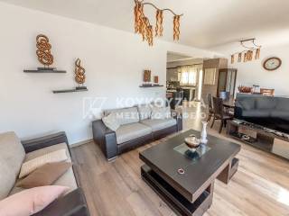 Σαλοκουζίνα