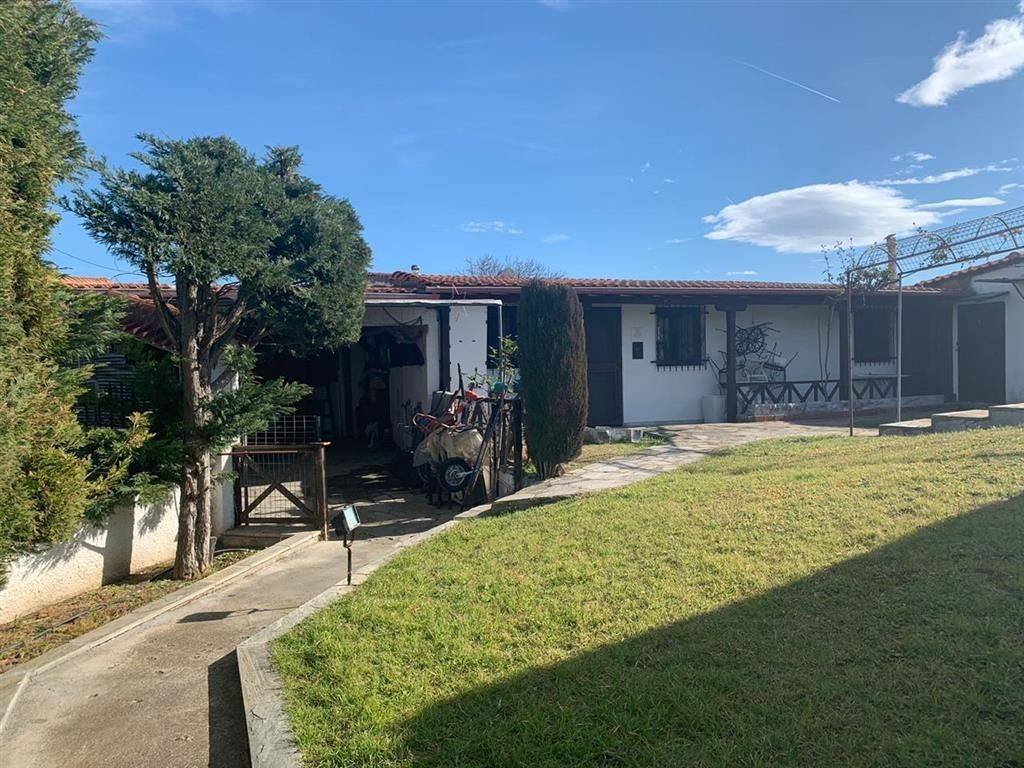 Detached - Grekodom 43592|636016