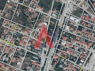 Στιγμιότυπο οθόνης 2026-03-12 161247.png