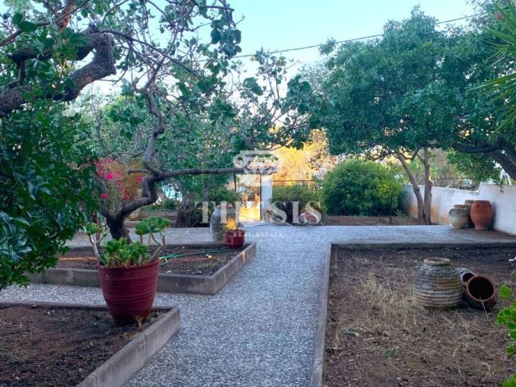 Ύπαρξη ανθρώπου