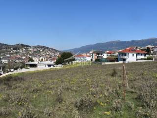 ΑΠΟΨΗ ΟΙΚΟΠΕΔΟΥ