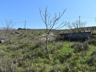 ΑΠΟΨΗ ΟΙΚΟΠΕΔΟΥ